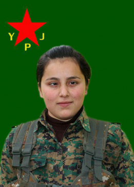 Bihar Rojava