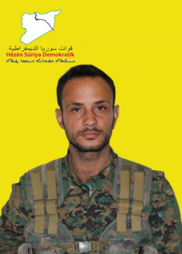 جانشير عفرين