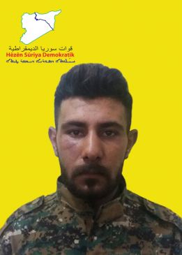 Cewad Qamişlo