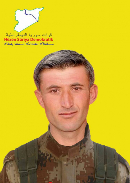 دايان عفرين
