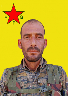 دليل شدادي
