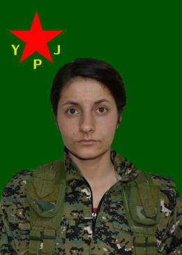 Dîlan Cudî