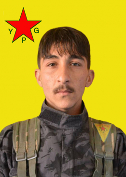 Dilbirîn Baz