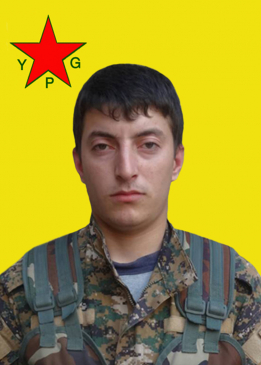 Dilgeş Botan