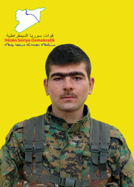 Dilovan Efrîn