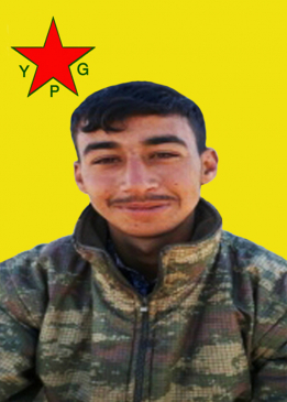 Hut Hesekê