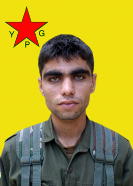 Kajîn Efrîn