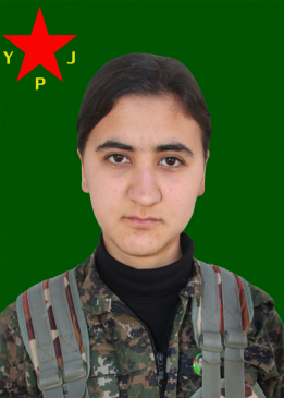 Mijdar Gabar