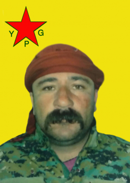 Mîzgin Şahîn