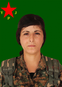 Rehşan Avjîn