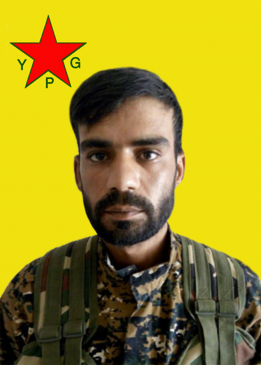 Renas Hesekê