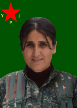 شفين كرزان