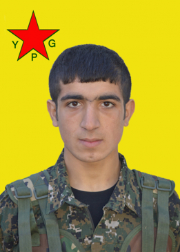 Sîpan Çinar