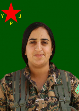 Sozdar Bawer