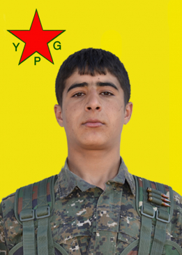 Tofan Bismil Amed