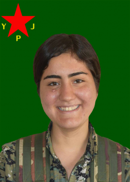 Warşîn Perwer