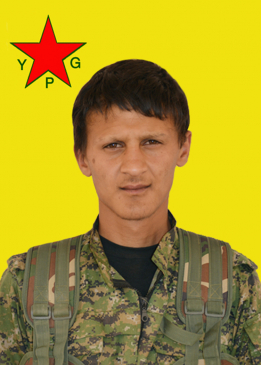 Xelîl Çavgun