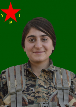 Zîlan Roj