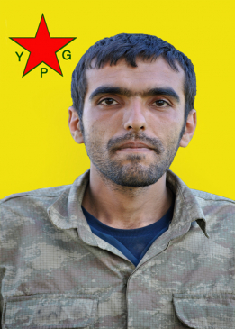 Adil Amed