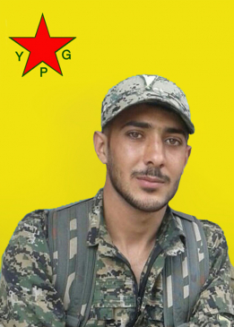 Amed Cudî