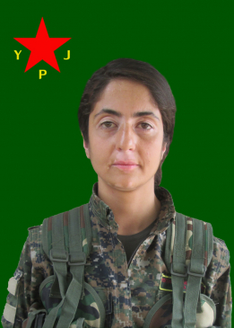 Arjîn Dersim Garzan