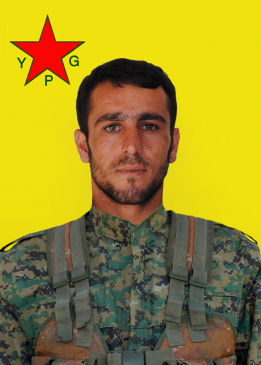 Bahoz Amed