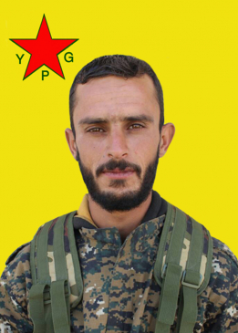 Beyar Hesekê