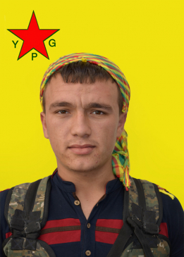 جيا كوباني