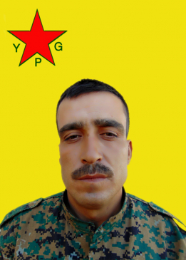 أبو زينب عفرين