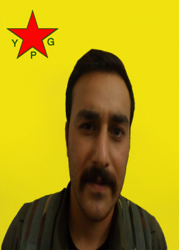 علي شير درسيم