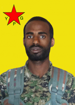 Elîşer Zagros