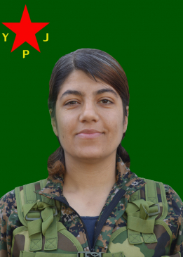 Eylem Bermal Egîd