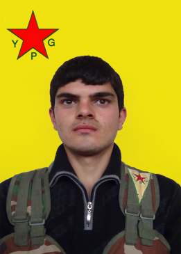 Hawar Zagros