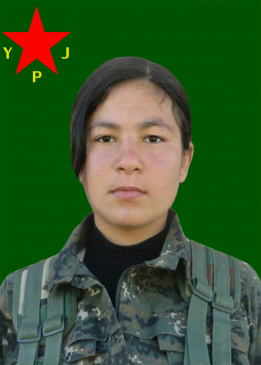 Hebun Qamişlo