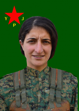 Hîvda Avareş