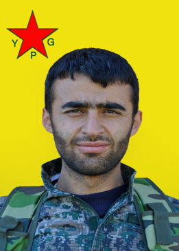 Hogir Çewlîk