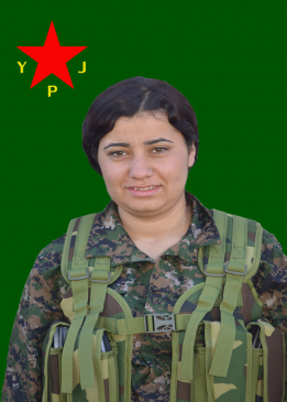 Jiyan Herekol
