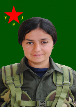 Leyla Nisêbîn