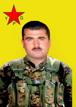 محمد عفرين