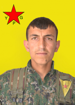 Numan Amed