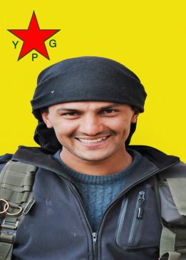 Numan Amed