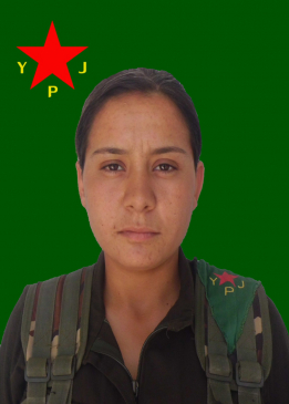 Perwîn Agirî