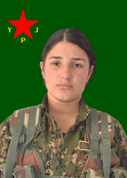 Perwîn Kurdistan