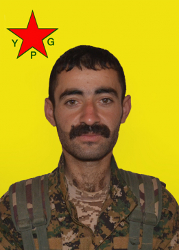 Qehreman Çîçek