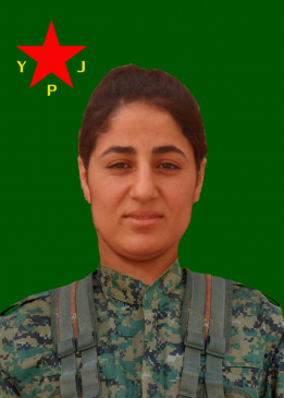 Rojîn Suruç