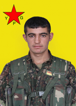 Şervan Varto