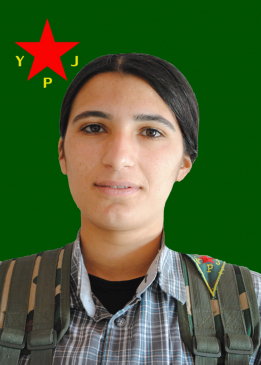 Silav Şerda