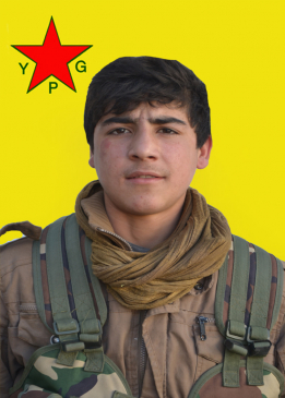 Şiyar Kobanê
