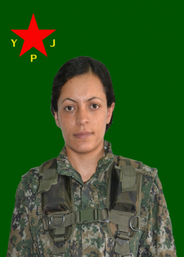 Sosin Kanîreş