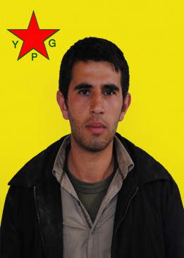 Welat Amed